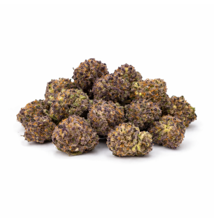 PURPLE HAZ - SMALLBUD