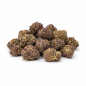 PURPLE HAZ - SMALLBUD