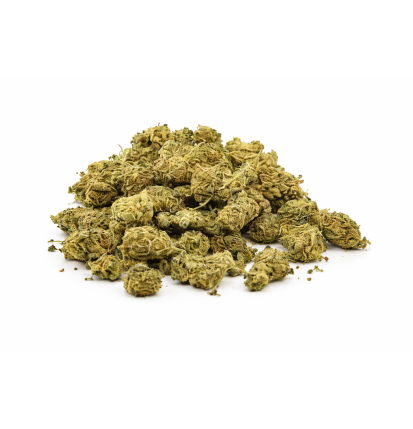 LEMON - SMALLBUD