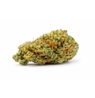 ORANGELLO - SMALLBUD