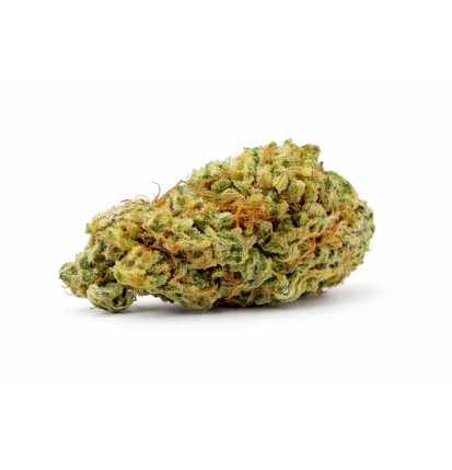ORANGELLO - SMALLBUD