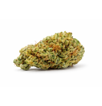 ORANGELLO - SMALLBUD