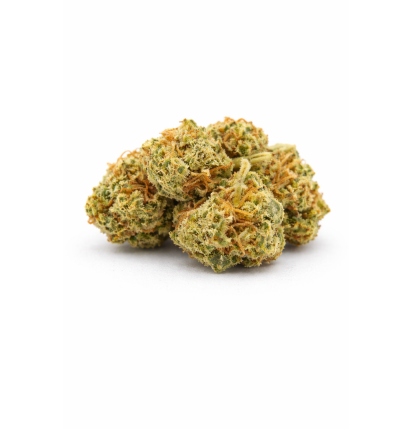 ORANGELLO - SMALLBUD
