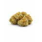 ORANGELLO - SMALLBUD ORANGELLO - SMALLBUD