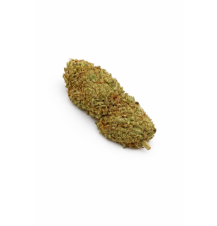 LEMON TONIC - GREENHOUSE