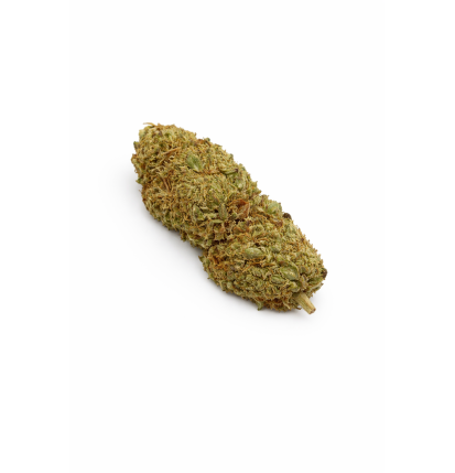 LEMON TONIC - GREENHOUSE