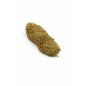 LEMON TONIC - GREENHOUSE