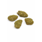 LEMON TONIC - GREENHOUSE