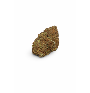 PURPLE - GREENHOUSE