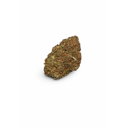 PURPLE - GREENHOUSE