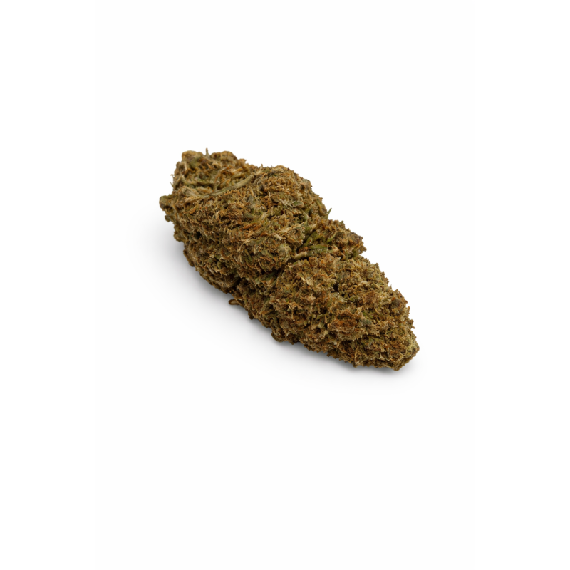 OG KUSH - GREENHOUSE