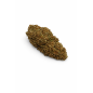 OG KUSH - GREENHOUSE