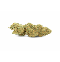 LEMON - GREENHOUSE