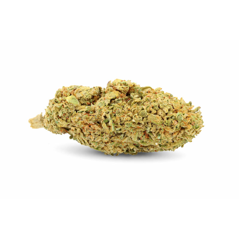 WHITE WIDOW - GREENHOUSE