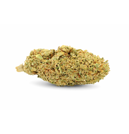 WHITE WIDOW - GREENHOUSE