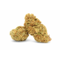 WHITE WIDOW - GREENHOUSE