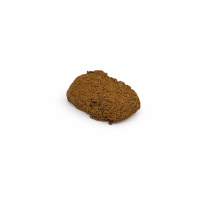 HOLLANDAIS FONCE